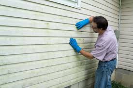 Best Storm Damage Siding Repair  in Huntsville, TN